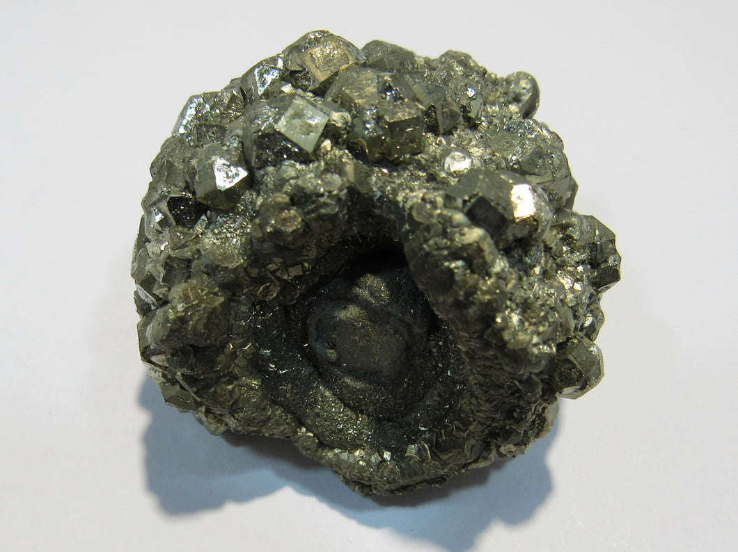 Pyrit Kristall Knolle Konkretion um Fossil Mögglingen 4cm, Deutschland