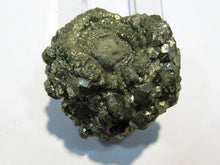 Laden Sie das Bild in den Galerie-Viewer, Pyrit Kristall Knolle Konkretion um Fossil Mögglingen 4cm, Deutschland