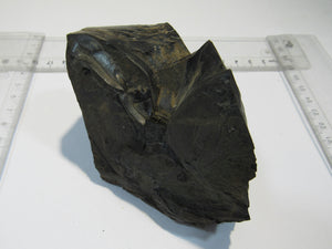 Opalisierender Kieselgur Holzopal 13cm Niederofleiden Vogelsberg Hessen, Deutschland