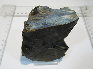 Opalisierender Kieselgur Holzopal 13cm Niederofleiden Vogelsberg Hessen, Deutschland