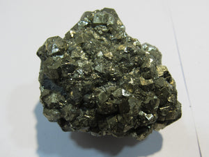 Pyrit Kristall Knolle Konkretion um Fossil Mögglingen 4,5cm, Deutschland