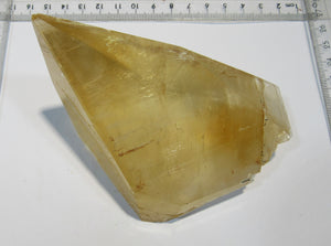 Calcit Honigcalcit Skalenoeder top XL Einkristall 11,5cm Rio Maior, Portugal