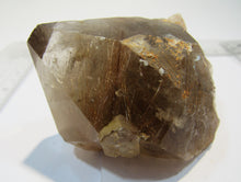Laden Sie das Bild in den Galerie-Viewer, Rauchquarz Bergkristall Spitze mit Rutil Nadeln 9cm Minas Gerais, Brasilien