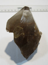 Laden Sie das Bild in den Galerie-Viewer, Rauchquarz Bergkristall Spitze mit Rutil Nadeln 9cm Minas Gerais, Brasilien