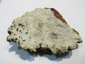 Kupferkies Chalkopyrit auf Dolomit xx 8cm Joplin Missouri, USA