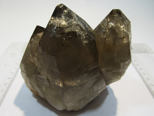 Rauchquarz Bergkristall 3er Spitze 11cm Groß Glockner Kärnten, Österreich