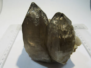 Rauchquarz Bergkristall 3er Spitze 11cm Groß Glockner Kärnten, Österreich