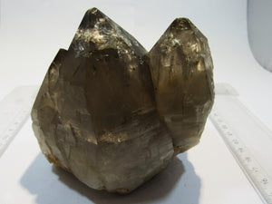 Rauchquarz Bergkristall 3er Spitze 11cm Groß Glockner Kärnten, Österreich
