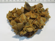 Laden Sie das Bild in den Galerie-Viewer, Baryt Schwerspat Meißelspat Kristall Stufe Grube Clara 8cm Oberwolfach, Deutschland