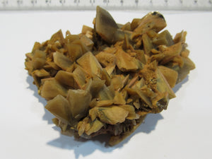 Baryt Schwerspat Meißelspat Kristall Stufe Grube Clara 8cm Oberwolfach, Deutschland