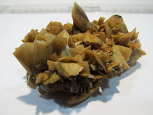 Laden Sie das Bild in den Galerie-Viewer, Baryt Schwerspat Meißelspat Kristall Stufe Grube Clara 8cm Oberwolfach, Deutschland