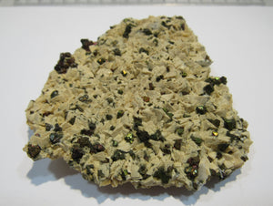 Kupferkies Chalkopyrit auf Dolomit xx 11cm Joplin Missouri, USA