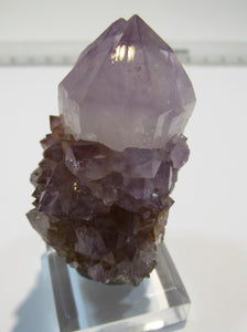 Amethyst Kaktus Quarz Bergkristall 5cm auf Sockel Mkobola, Südafrika