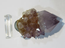 Laden Sie das Bild in den Galerie-Viewer, Amethyst Kaktus Quarz Bergkristall 5cm auf Sockel Mkobola, Südafrika
