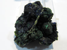 Laden Sie das Bild in den Galerie-Viewer, Azurit feine Kristallstufe 4cm mit Malachit Tsuneb, Namibia