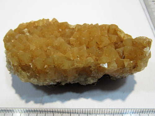 Calcit Honigcalcit Skalenoeder Stufe 9cm Stbr. Winterberg Bad Grund, Deutschland