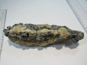 Bleiglanz Galenit Kristalle auf Quarz Matrix 18cm Baia Sprie Maramures, Rumänien