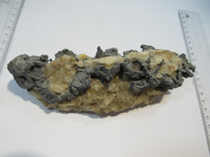 Bleiglanz Galenit Kristalle auf Quarz Matrix 18cm Baia Sprie Maramures, Rumänien