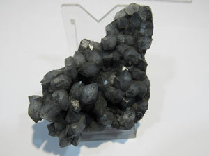 Rauchquarz meist Doppelender Bergkristall 9cm Carpin Mecklenburg, Polen