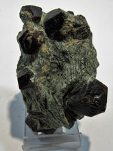 Laden Sie das Bild in den Galerie-Viewer, Granat Z572 Kristallstufe Granat in Glimmerschiefer Zillertal, Österreich freeshipping - Mineraldorado
