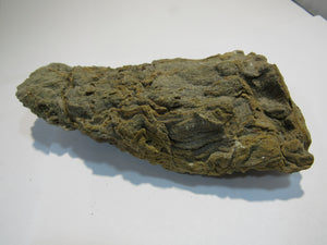 Holz fossiles Kieselholz Neogen Schlüchtern Hessen 520g, Deutschland