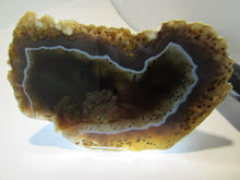Laden Sie das Bild in den Galerie-Viewer, Achat edle Geode geschnittene End-Scheibe top Strukturen 0,97Kg, Brasilien