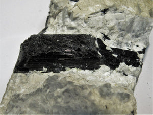 Turmalin Schörl Kristalle schwarz in Feldspat Roskoff Bretagne, Frankreich