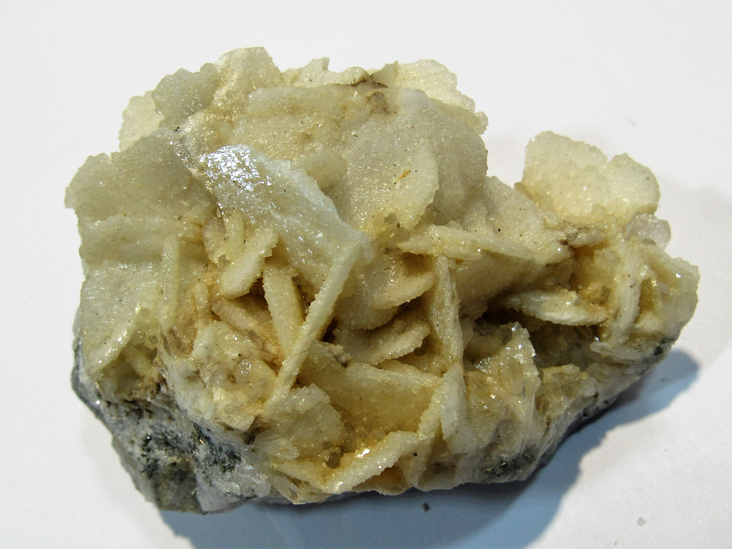 Baryt Schwerspat Tafel-Kristalle Galenit Pyrit in Matrix Capnic, Rumänien