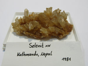 Gips Selenit gelbe Schwalbenschwanz Kristall Stufe Kathmandu, Nepal